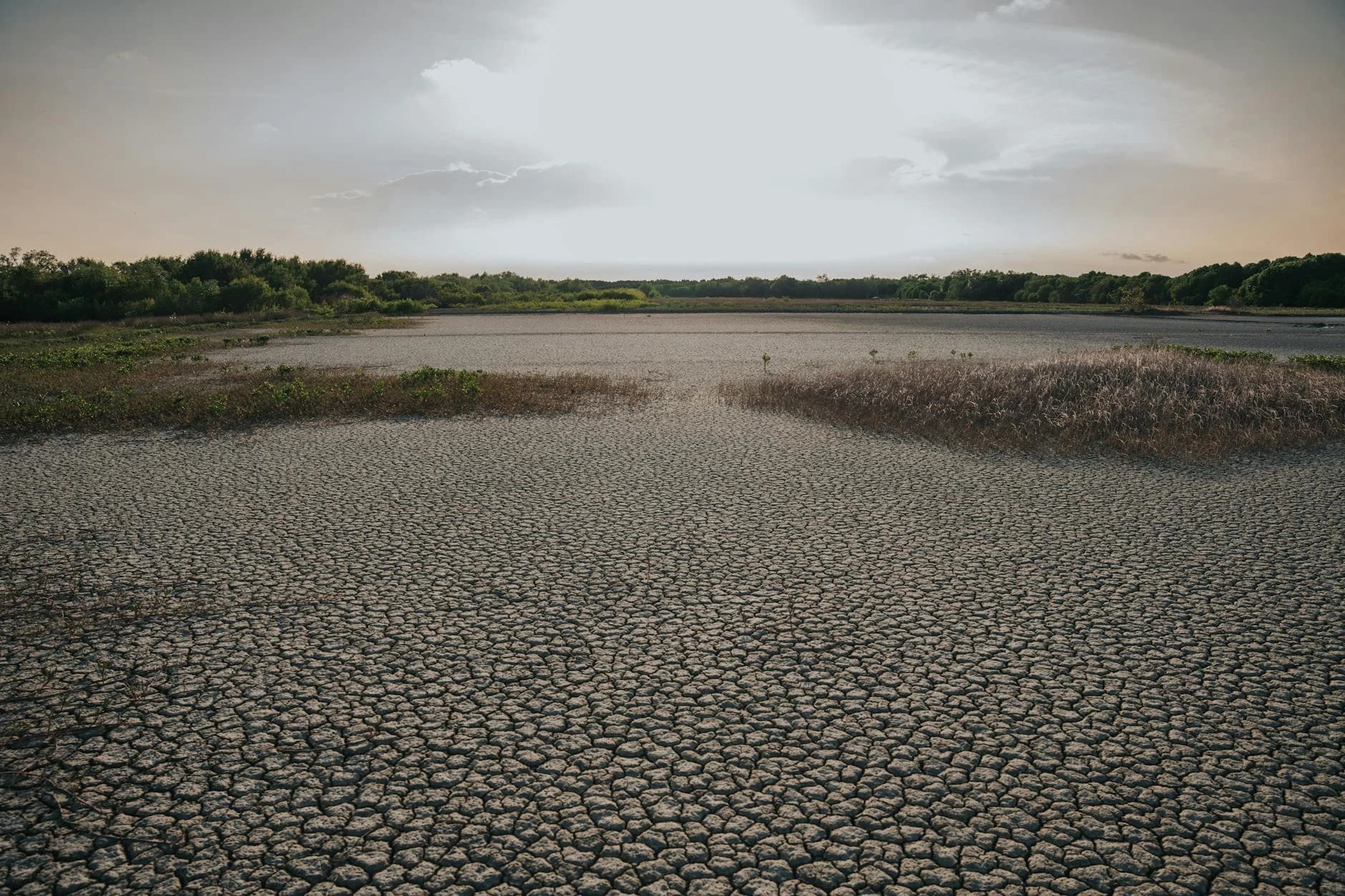 Weaponized Water Scarcity: A Geopolitical Analysis