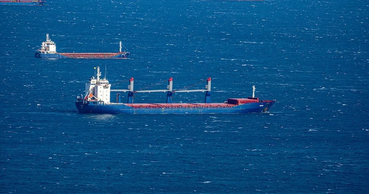22-Nation Coalition at Hormuz: What It Means